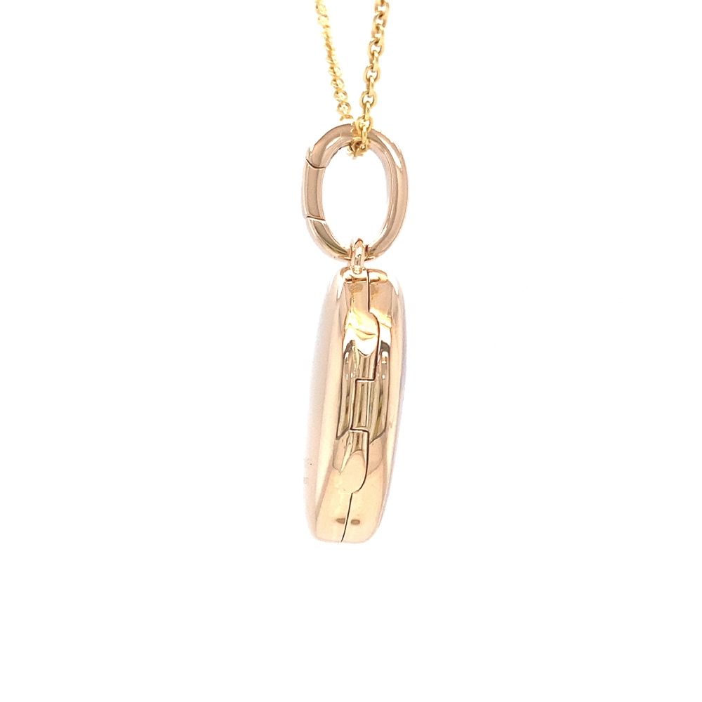 Ovales Medaillon-Collier in Roségold rosaner lackeirung und stilisierter Libelle