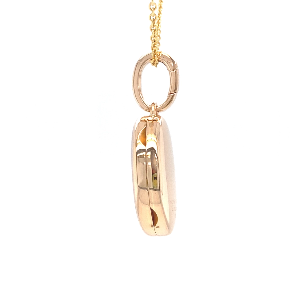 Ovales Medaillon-Collier in Roségold rosaner lackeirung und stilisierter Libelle